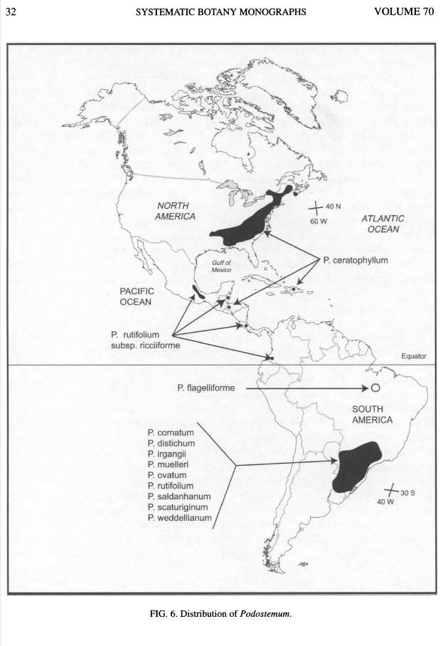 Distribution of Podostemum, Philbrick and Novelo 2004. The Podotemum ceratophyllum is the only on that grows in the US and Canada, but most of the diversity of the group is in South America.